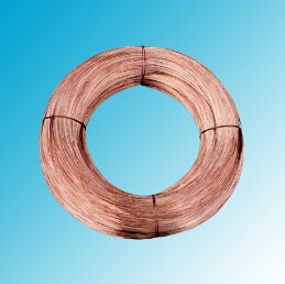 ●紫銅線(xiàn)●“猴哥”帶你辨真?zhèn)危?></a></div>
                    <div   id=